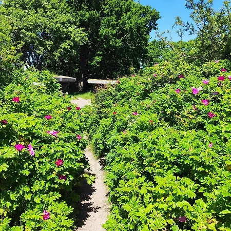 6 Person In Σπίτι διακοπών *